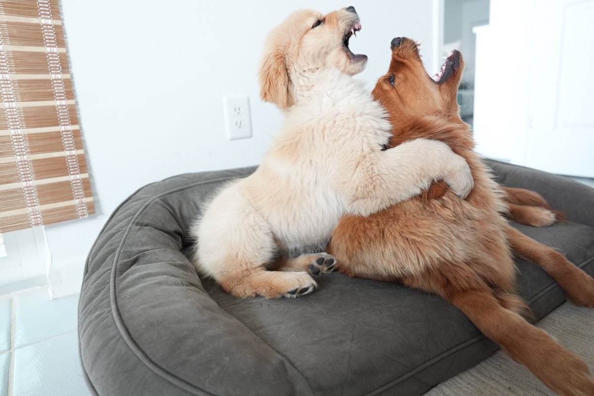Throwback to feta and a tiny bebe 'Zolá!