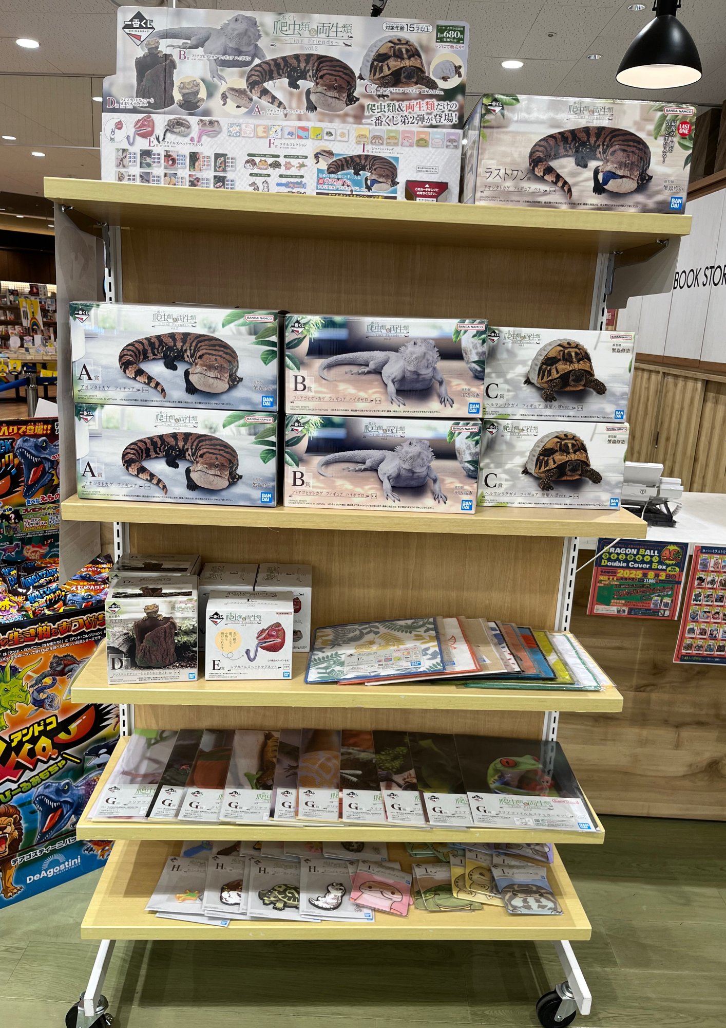 くまこページ くまざわ書店横須賀店 on X: 