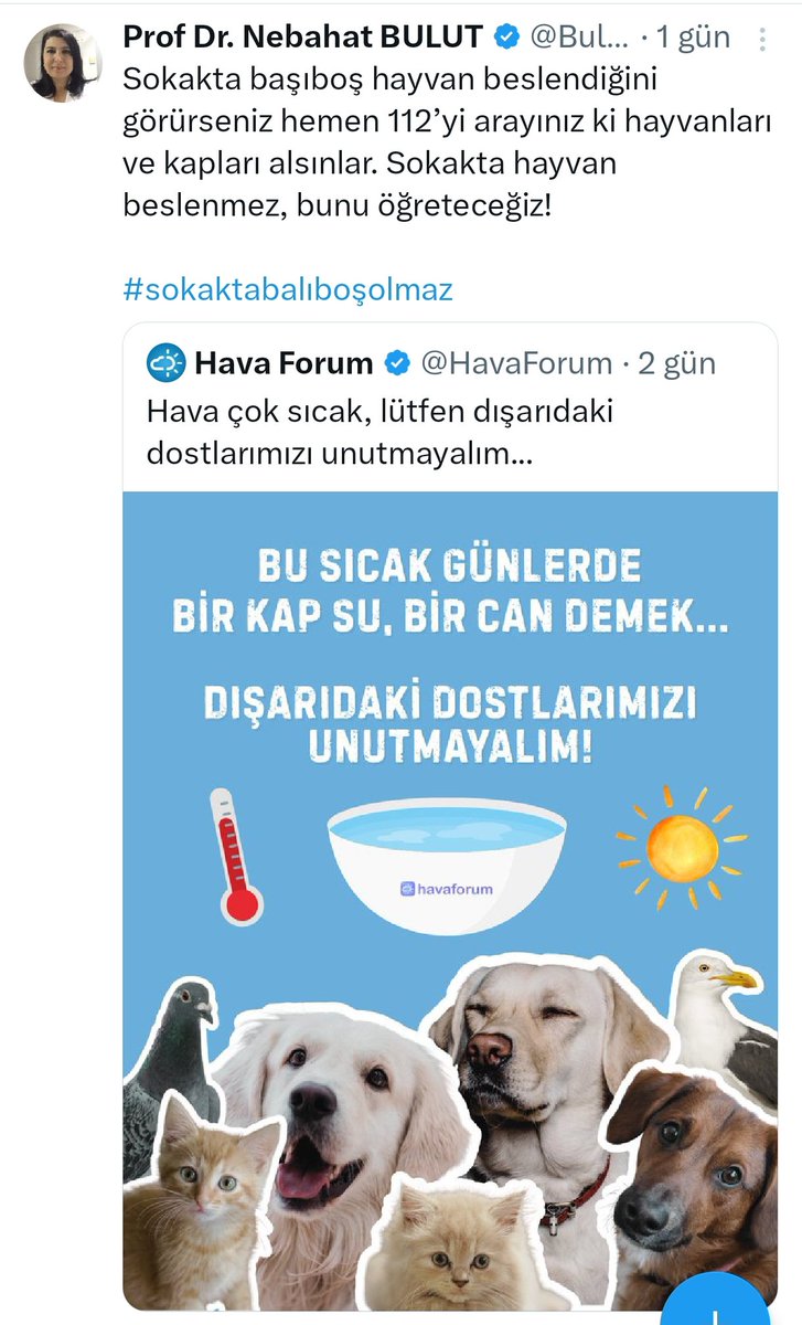 dunyazade_'s tweet image. Biri kendisine haber versin. Serinyolda yaşıyorum. Hepimiz kedi köpeğe su veriyoruz utanmıyoruz bir de okşuyor seviyoruz. Birazdan da sularını yenilemeye çıkacam 🤗 Kendisini susuzluktan baygın görsem 1 bardak su ona da veririm söyleyin ona 🌸