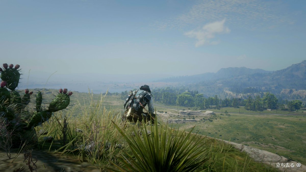 nazo1300's tweet photo. 崖の上で一息。
#readdeadonline
#rdr2 https://t.co/kP7yN6GZCP