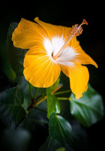 🌟⭐️🌟🌟sʜᴀʜᴢᴀᴅ ᴍᴜɴɪʀ🌟⭐️🌟⭐️ (@shz787) on Twitter photo #P_PTi🔆 <a href="/00munsif/">ابوسلم 𝐌𝐮𝐧𝐬𝐢𝐟 𝐀𝐥𝐢</a>
<a href="/NM1k_/">༺ 💎𒆜𝑵𝑬𝑬𝑵𝑨𝑯𒆜💎 ༻</a> <a href="/MNPTi1/">𝗠𝘂𝗻𝘀𝗶𝗳 🫶 ابوسلم ≛⃝🔶</a>
<a href="/KamranA17555180/">ISF Sindh Official 🇧🇫</a>
<a href="/ThunderVanguard/">Thunder Vanguard</a>
<a href="/Sprxzy2/">Umar PTI</a> <a href="/Y22NY/">YASEEN</a>
<a href="/P_PTi3/">𝐌_𝐏𝐭𝐢 _🆇 𝐏𝐑𝐎𝐌𝐎𝐓𝐄𝐑</a> <a href="/Da__Eliz/">Eli👸</a>
<a href="/PTIJAPANNNNN/">PTI JAPAN🇵🇸❤️#804</a>
<a href="/CarloSportfan/">SportISmyLIFE ⚽⚾🏀🏐🏈🎾🎳🏏🏓⛳</a>
<a href="/IAIJ_/">Genghis Khan</a> <a href="/IAIJ1_/">Javed Iqbal</a>
<a href="/S2_CarlaS2/">꧁༺Carla༻꧂#EliFriends━★✼☆</a>
<a href="/SKPTI804/">ꜱᴀʟᴍᴀɴ ᴘᴀᴛʜᴀɴ ᵀᵉᵃᵐˢᵒᵏ</a>
<a href="/zubm9231/">ZUBAIR Muhammad</a>
<a href="/zimal293/">🦋𝐑ᴀsʜɪᴅᴀʜ🦋</a>
<a href="/_MaryEly_/">💛 𑜞᭄ MaryEly🌻</a>
<a href="/TipuS1_/">Tipu Sultan Tʰᵘⁿᵈᵉʳ Sᑫᵘᵃᵈ</a>
<a href="/shZ447/">𝕊𝕙𝕒𝕙𝕫𝕒𝕕 𝕄𝕦𝕟𝕚𝕣</a>
<a href="/ZK__35/">Zumar khan</a>
<a href="/B_Ali11/">✯𝓐𝓛𝓘 𝓚𝓗𝓐𝓝 𝓑𝓐𝓝𝓖𝓐𝓢𝓗✯🇵🇰🇺🇸 ⚔️🦌</a>
<a href="/dre_nt/">Dan♟️🎲</a>
<a href="/553ik/">🌺*𝙈𝙎 ೖ•💗ೖ𝙋𝙏𝙞.• '*🌺.ೖ</a>
<a href="/skiii7i/">S khan</a>
<a href="/Hfz_2/">Abdul Hafeez</a>
<a href="/IAIT_/">Talat Iqbal</a>
<a href="/ir3tao/">عزيز</a> #P_PTi🔆 <a href="/00munsif/">ابوسلم 𝐌𝐮𝐧𝐬𝐢𝐟 𝐀𝐥𝐢</a>
<a href="/NM1k_/">༺ 💎𒆜𝑵𝑬𝑬𝑵𝑨𝑯𒆜💎 ༻</a> <a href="/MNPTi1/">𝗠𝘂𝗻𝘀𝗶𝗳 🫶 ابوسلم ≛⃝🔶</a>
<a href="/KamranA17555180/">ISF Sindh Official 🇧🇫</a>
<a href="/ThunderVanguard/">Thunder Vanguard</a>
<a href="/Sprxzy2/">Umar PTI</a> <a href="/Y22NY/">YASEEN</a>
<a href="/P_PTi3/">𝐌_𝐏𝐭𝐢 _🆇 𝐏𝐑𝐎𝐌𝐎𝐓𝐄𝐑</a> <a href="/Da__Eliz/">Eli👸</a>
<a href="/PTIJAPANNNNN/">PTI JAPAN🇵🇸❤️#804</a>
<a href="/CarloSportfan/">SportISmyLIFE ⚽⚾🏀🏐🏈🎾🎳🏏🏓⛳</a>
<a href="/IAIJ_/">Genghis Khan</a> <a href="/IAIJ1_/">Javed Iqbal</a>
<a href="/S2_CarlaS2/">꧁༺Carla༻꧂#EliFriends━★✼☆</a>
<a href="/SKPTI804/">ꜱᴀʟᴍᴀɴ ᴘᴀᴛʜᴀɴ ᵀᵉᵃᵐˢᵒᵏ</a>
<a href="/zubm9231/">ZUBAIR Muhammad</a>
<a href="/zimal293/">🦋𝐑ᴀsʜɪᴅᴀʜ🦋</a>
<a href="/_MaryEly_/">💛 𑜞᭄ MaryEly🌻</a>
<a href="/TipuS1_/">Tipu Sultan Tʰᵘⁿᵈᵉʳ Sᑫᵘᵃᵈ</a>
<a href="/shZ447/">𝕊𝕙𝕒𝕙𝕫𝕒𝕕 𝕄𝕦𝕟𝕚𝕣</a>
<a href="/ZK__35/">Zumar khan</a>
<a href="/B_Ali11/">✯𝓐𝓛𝓘 𝓚𝓗𝓐𝓝 𝓑𝓐𝓝𝓖𝓐𝓢𝓗✯🇵🇰🇺🇸 ⚔️🦌</a>
<a href="/dre_nt/">Dan♟️🎲</a>
<a href="/553ik/">🌺*𝙈𝙎 ೖ•💗ೖ𝙋𝙏𝙞.• '*🌺.ೖ</a>
<a href="/skiii7i/">S khan</a>
<a href="/Hfz_2/">Abdul Hafeez</a>
<a href="/IAIT_/">Talat Iqbal</a>
<a href="/ir3tao/">عزيز</a>