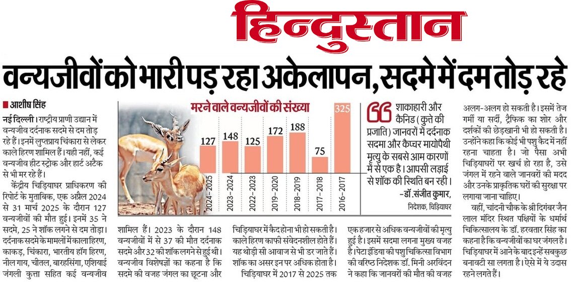 Rajeev Datt Panday (@dattrajeev) on Twitter photo epaper.livehindustan.com/Home/ShareArti… वन्यजीवों को भारी पड़ रहा अकेलापन,सदमे में दम तोड़ रहे <a href="/Heritage_fn/">Heritage Foundation Trust (regd)</a> epaper.livehindustan.com/Home/ShareArti… वन्यजीवों को भारी पड़ रहा अकेलापन,सदमे में दम तोड़ रहे <a href="/Heritage_fn/">Heritage Foundation Trust (regd)</a>