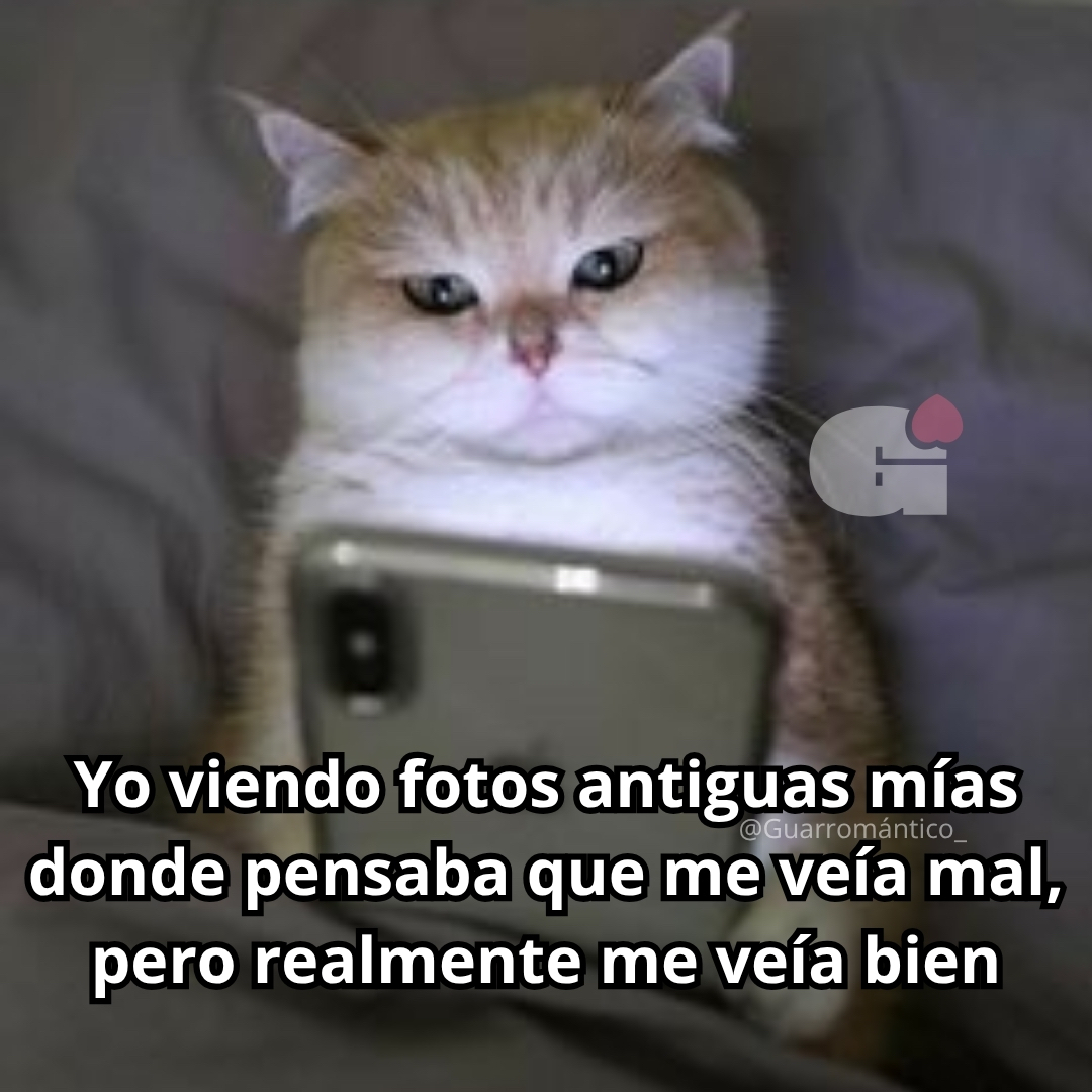 El Guarromántico tweet media