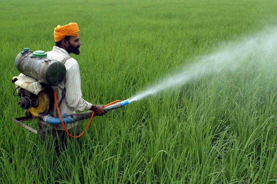 IBTInsights's tweet photo. In a bold move to future-proof agriculture, Maharashtra has launched the Krishi Samruddhi Yojana, a ₹25,000 crore scheme aimed at turning farming into a high-tech, and sustainable venture over the next five years.

Read more at: https://t.co/ZEVUR3wZSQ

#IBT #IBTInsights https://t.co/tu0oI3UCBh