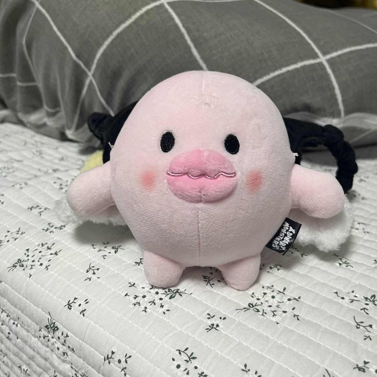 죽일놈의 호기심