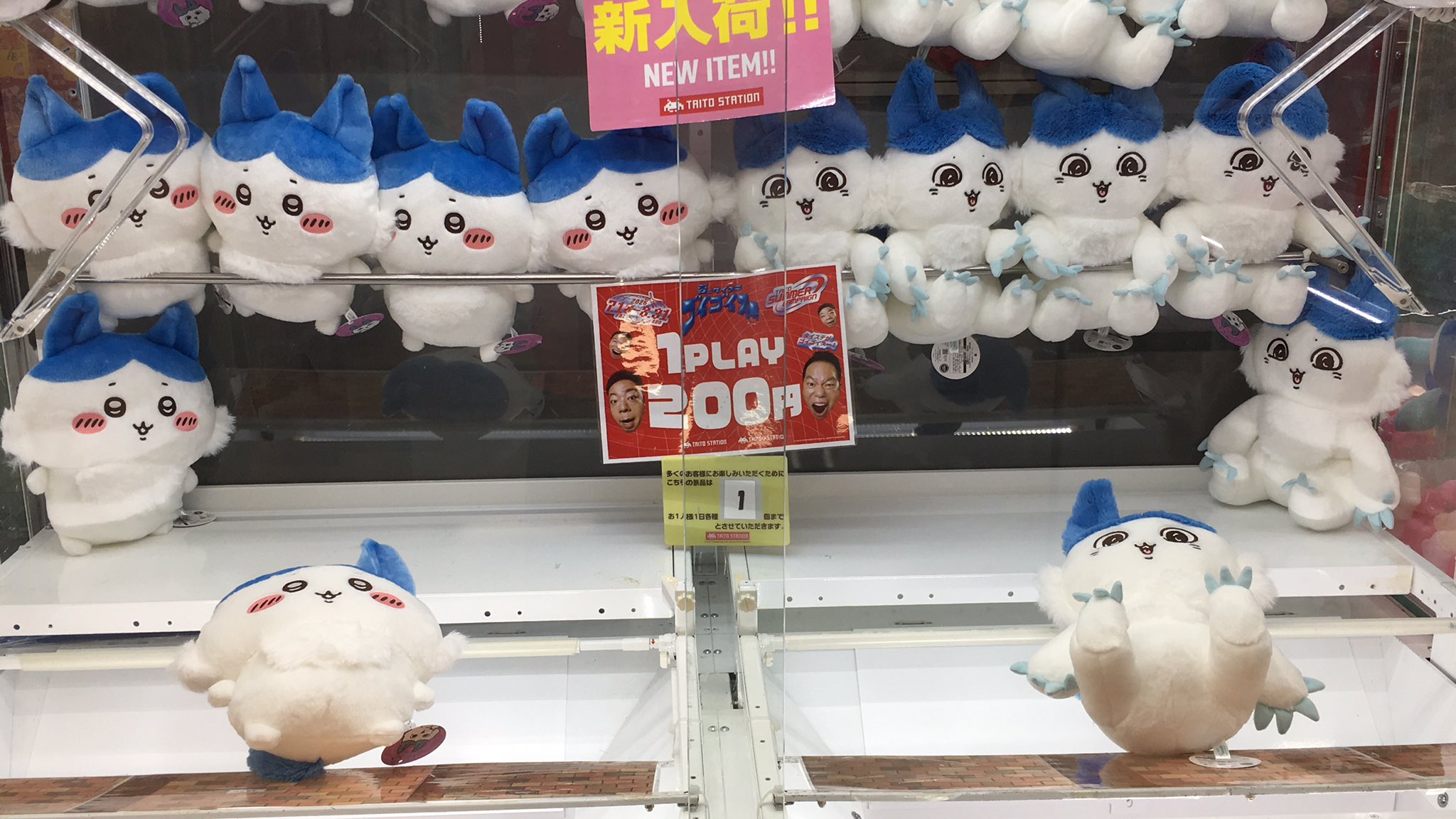 ぬいぐるみのみ 61mdqnjU9xL._AC_SY200_QL15_.jpg