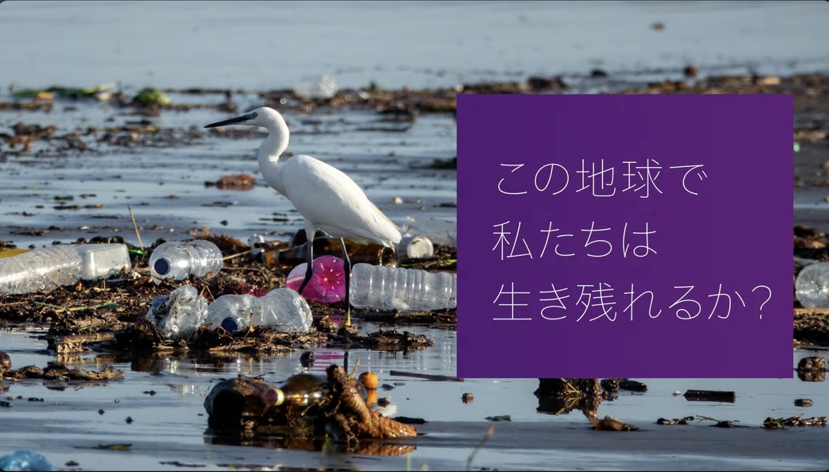 環境学部（2026年4月設置構想中）を動画でご紹介！ 
「この地球で私たちは生き残れるか？」 立教大学 環境学部が、その問いに挑みます。
動画では、本学部の特徴を詳しく解説しています。ぜひご覧ください！
youtu.be/W6Nn-fO7FFA

#立教大学 #立教 #立大 #rikkyo #大学生活 #大学受験 #環境学部