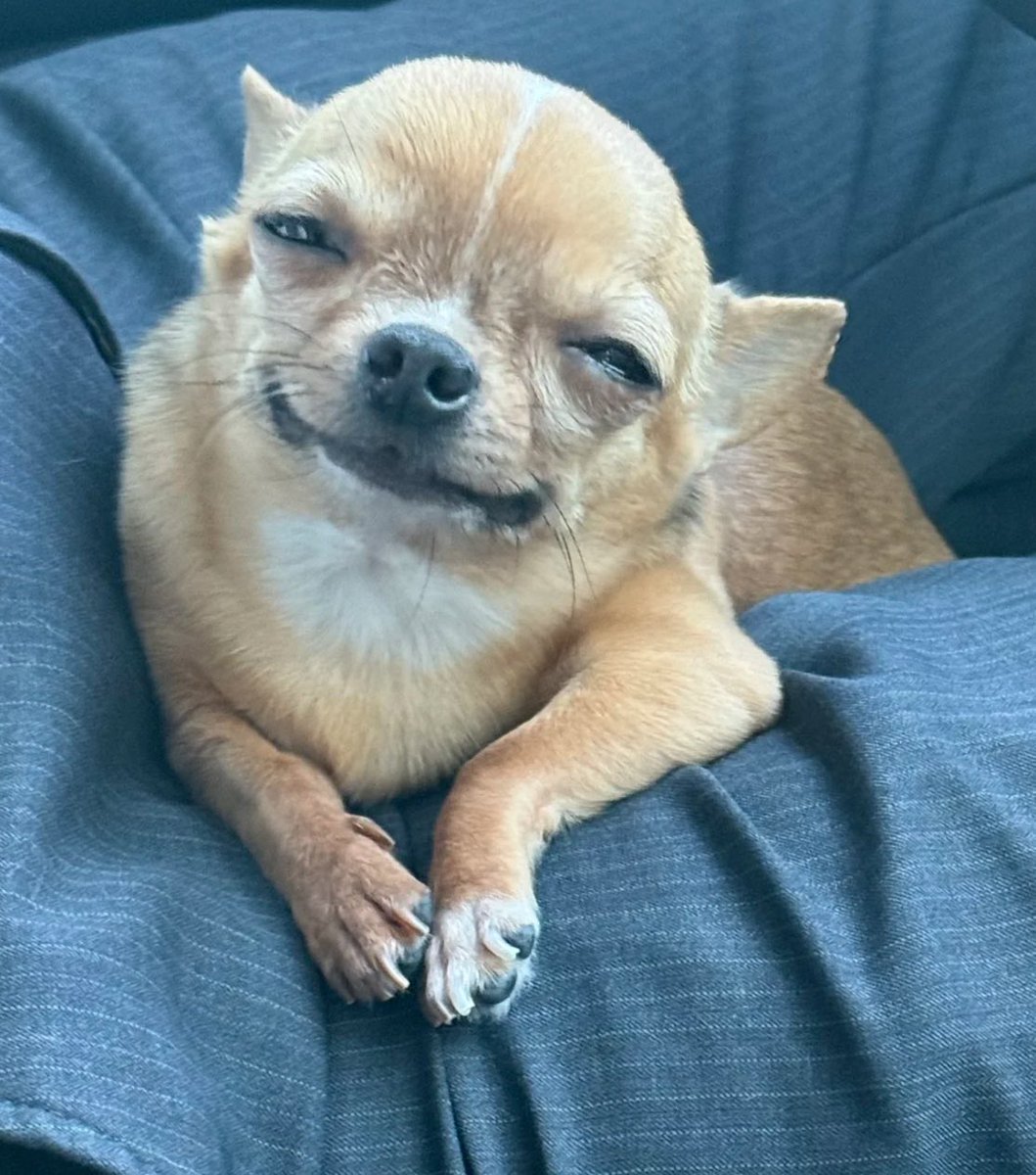 ggamddori4's tweet image. ……………..🥹
