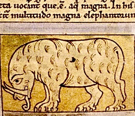 MedMilMedicine's tweet image. In the true spirit of the ‘elephant done by a medieval artist that had never seen one’ - 12th century, Bodleian Library MS. Bodl. 614, f. 39v