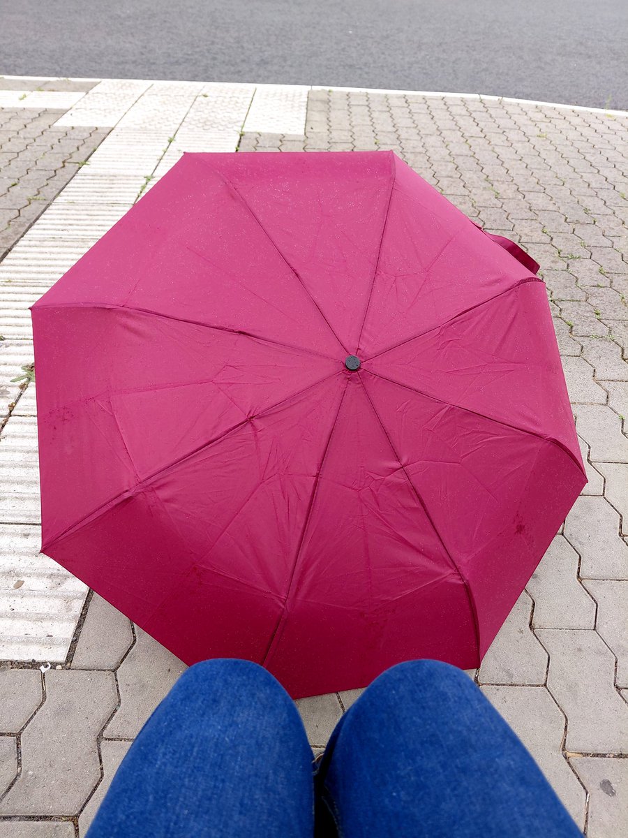 UMZiegeroski's tweet image. #Petrichor is the earthy scent produced when rain falls on dry soil. 🌧💧☔️
I love that scent! 💙
