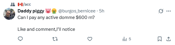 Articus_chad's tweet image. What the fuck is going on in the Canadian e/acc group?