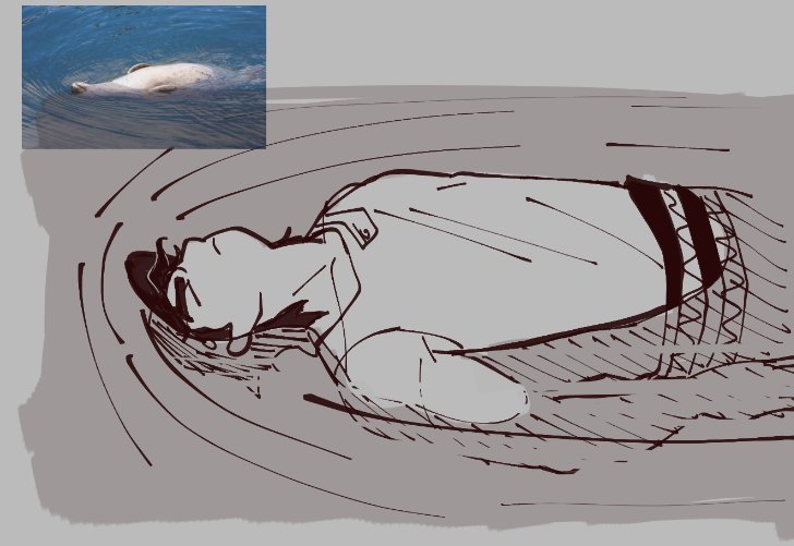 _NEBULAES's tweet image. Random tumblr anon asked me to "draw Jotaro in a bunch of seal posesPLEASEEEE" and I figured it was a solid idea
