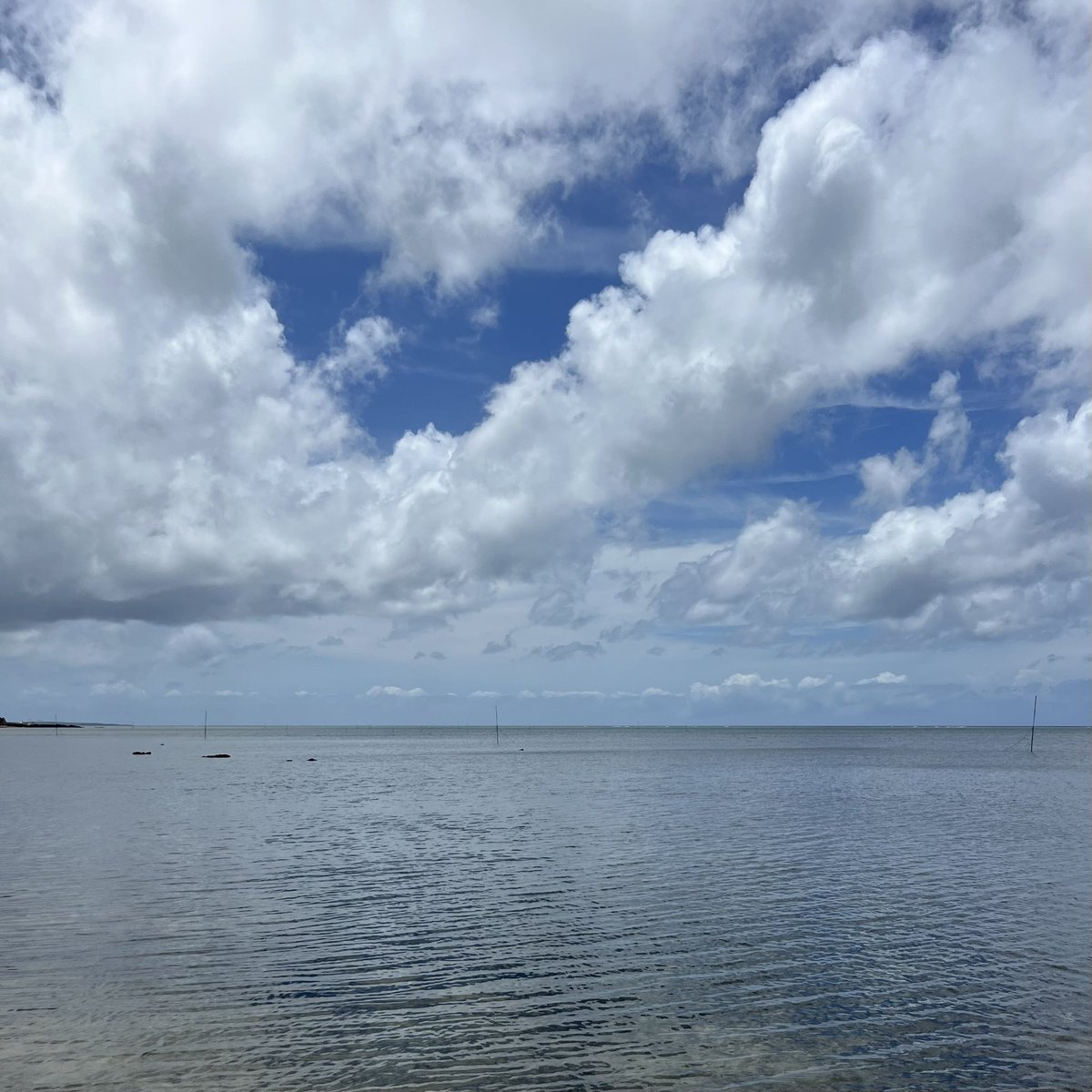 shn_kasa's tweet image. 出張前かつ、台風の切れ目の晴れ、スイムチャレンジ。意外と凪いでた。