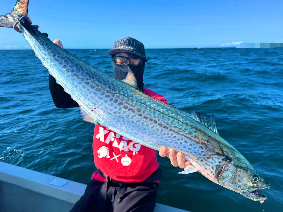 blueseabass's tweet photo. 今季もサワラ便スタート❣️

いきなりモリモリ釣れちゃいました🙆‍♂️

#サルベージ
#東京湾
#青物キャスティング
#敗北を知りたい https://t.co/woWaWDCRpu