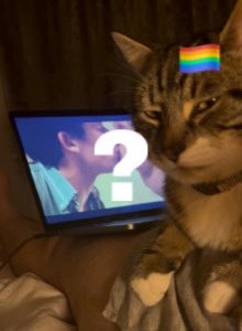 <a href="/bigsuitfilms/">alex</a> The cat be like
