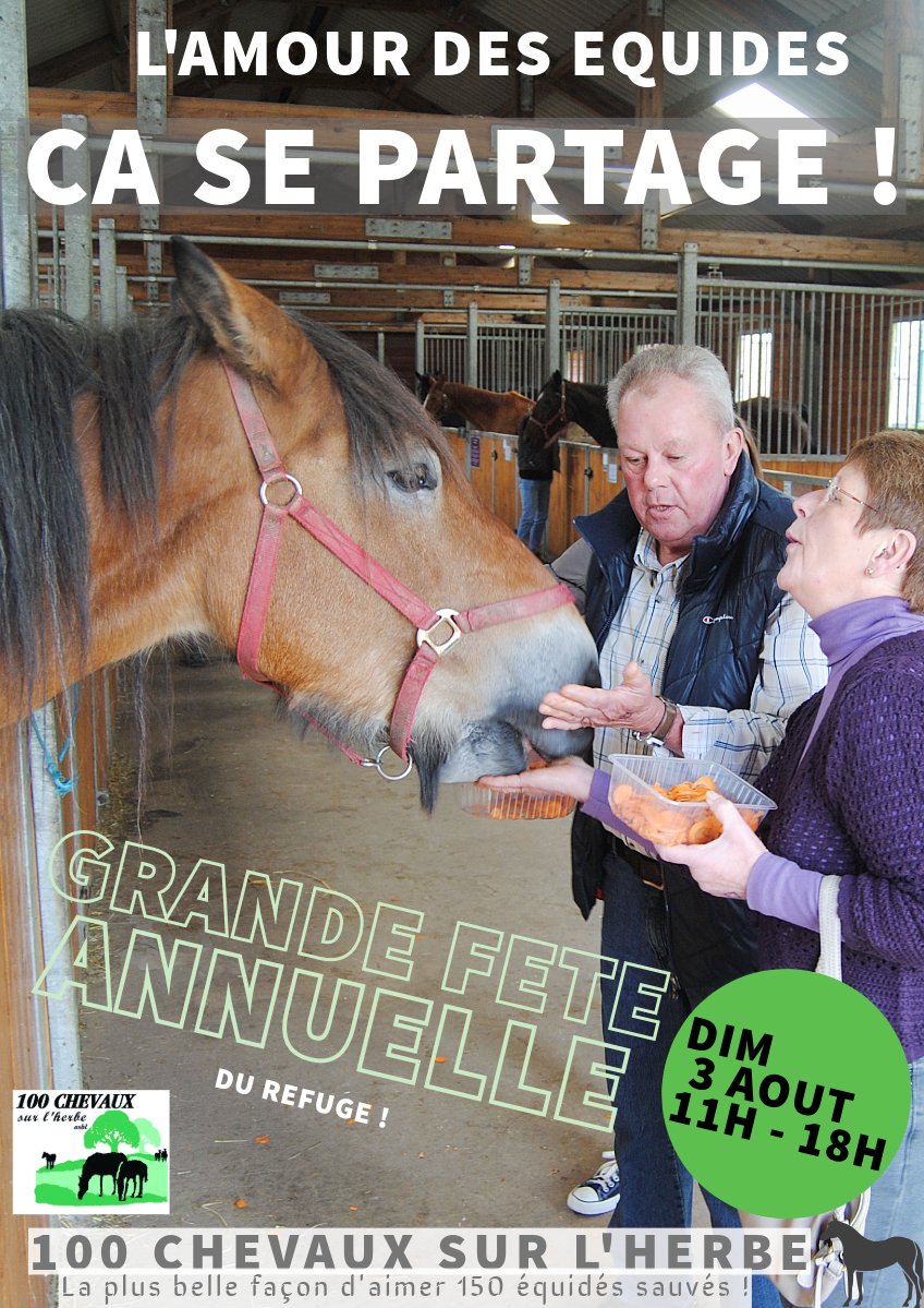 100CHEVAUXSURLH's tweet image. Ns sommes nombreux à aimer les chevaux.
Et nombreux aussi à soutenir 100 CHEVAUX SUR L’HERBE, le plus grand refuge de Belgique dédié aux équidés rescapés.
Grâce à vs, + 195animaux vivent en paix, entourés de soins, d’attention… et d’amour. DIM 3/8 NOTRE GRANDE FÊTE ANNUELLE