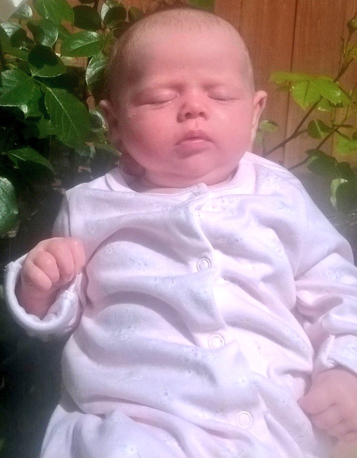 BeachTimeClaire's tweet image. Twelve years ago today, this slightly Yoda looking beauty was born! My beautiful baby girl! She makes me proud everyday. Let the birthday celebrations commence!โค๐๐๐๐๐ฅณ