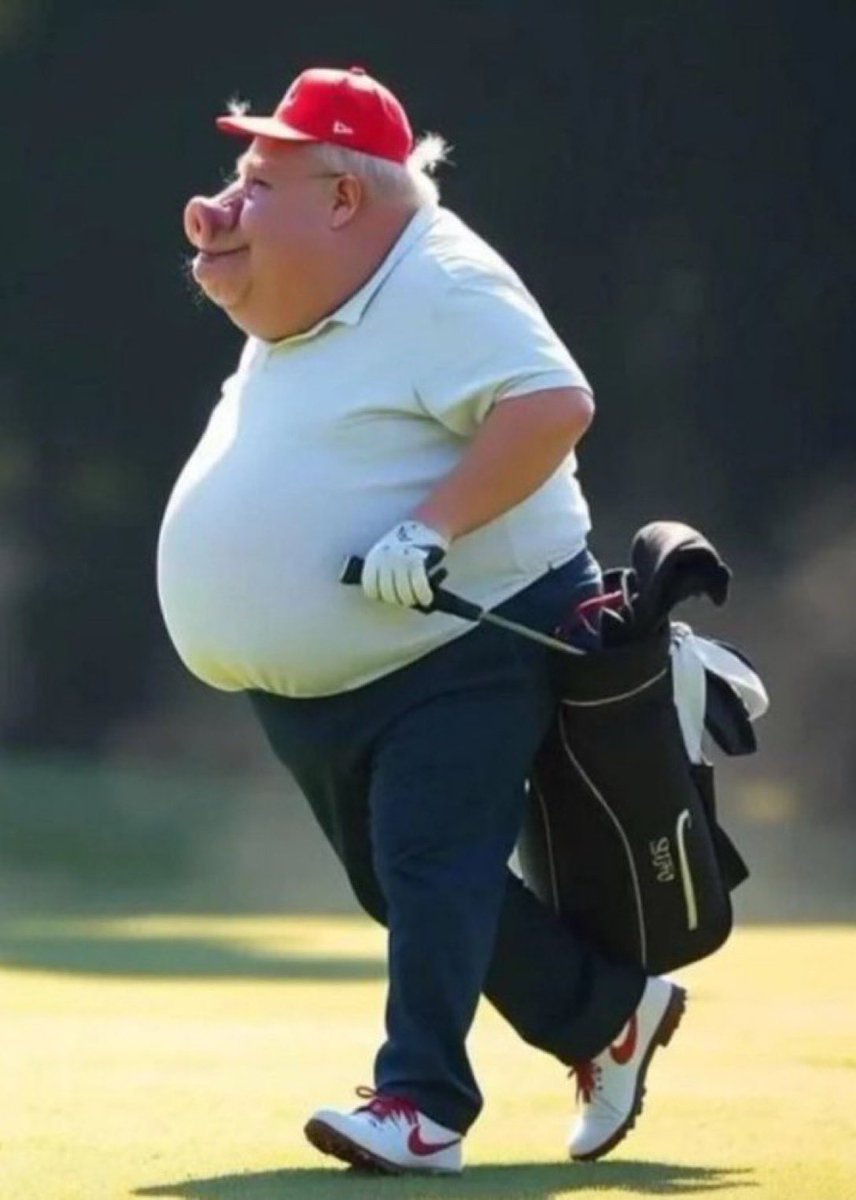 OpenMinded_21's tweet image. Let’s make sure that the pig gets the Scottish welcome that he deserves ! bbc.co.uk/news/articles/…