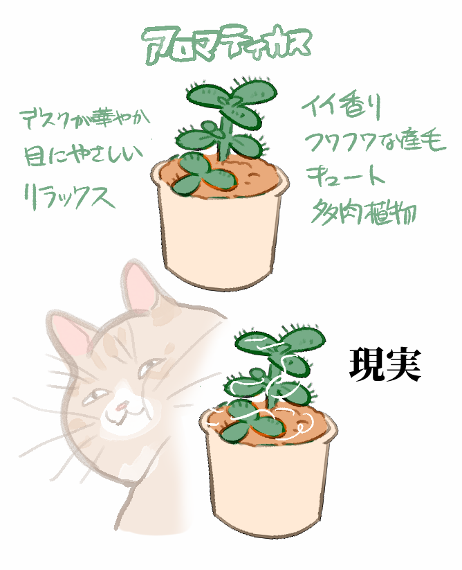 Yamainu_ken's tweet image. どうしてこう