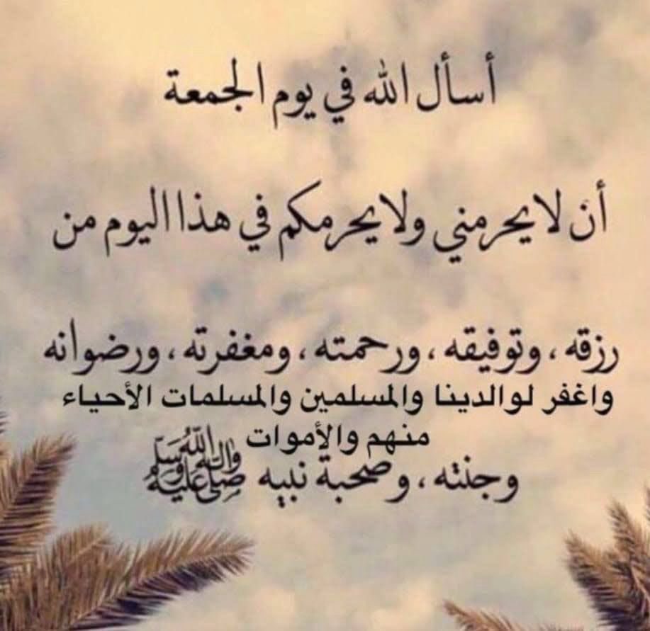 aboazam454's tweet photo. https://t.co/xPRmtCFaoQ