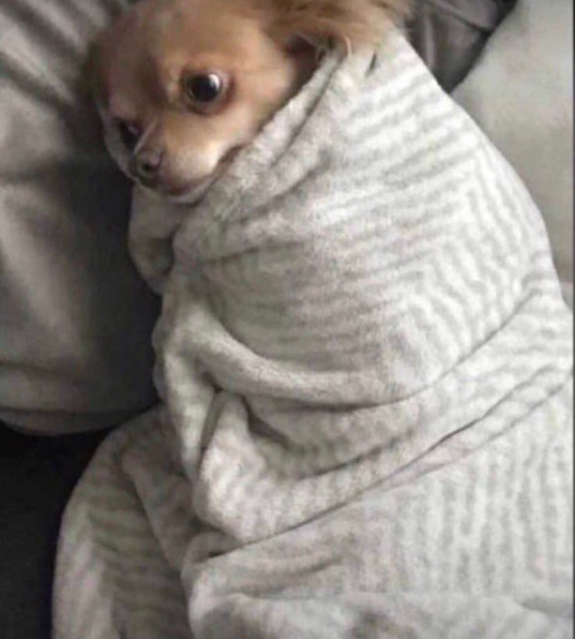 ShibertAine's tweet image. Is it cold that side too😢🥶🥶
Nways good morning from Fort Portal City 🌄🌦🌦