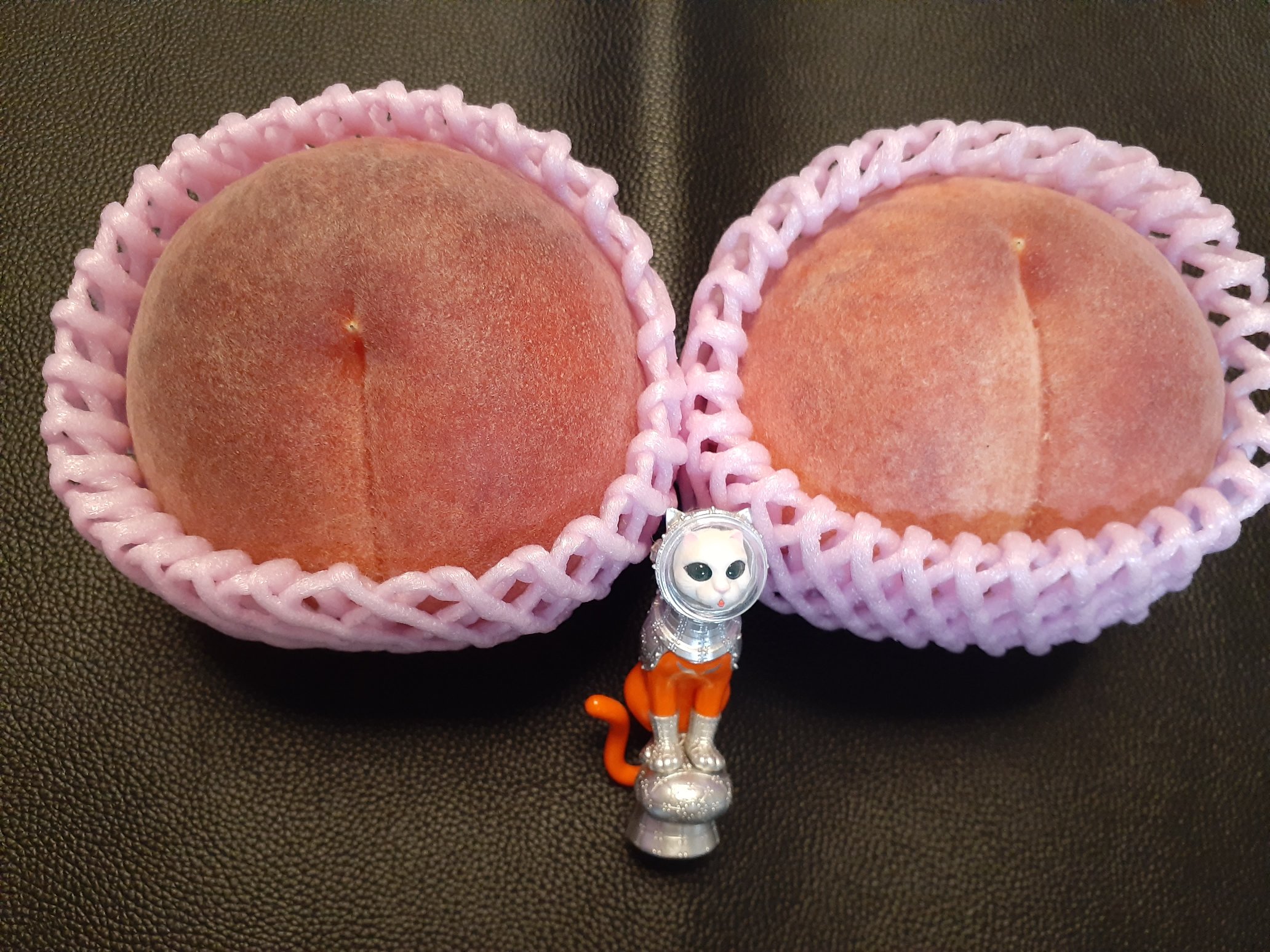 ピーチ - Search / X