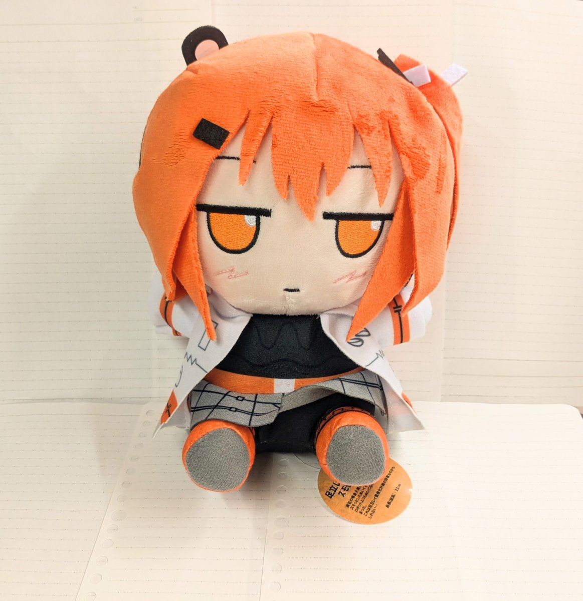 足立ぬいきちゃ〜〜〜！！！！！
#足立レイ