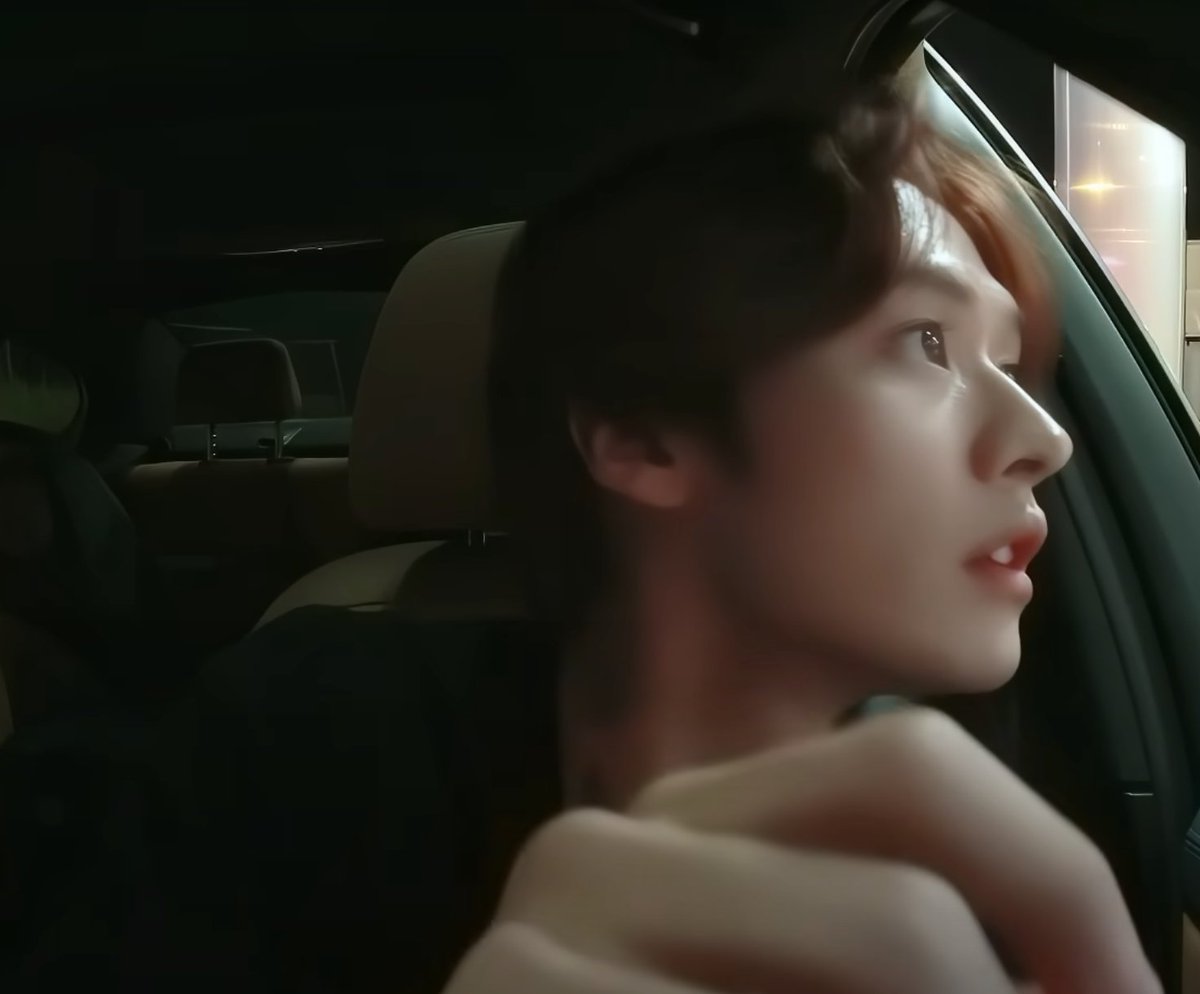 harribit0's tweet image. 운전하는 고양이 이거 진짜예요??
