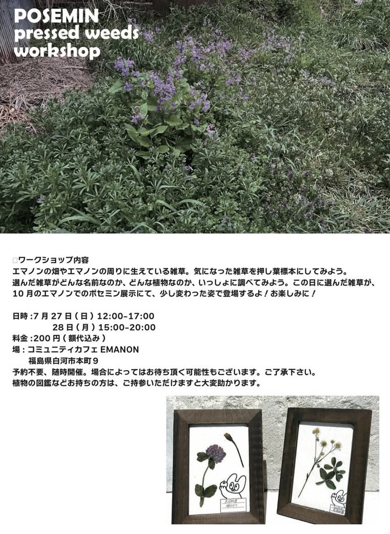 🌿エマノンの畑や周りに生えている雑草たち。

気になった草を押し葉にして、名前や特徴をいっしょに調べてみよう。

7/27-28 ポセミン押し葉標本ワークショップ
pj.emanon.fukushima.jp/posts/m3VfJFnM
