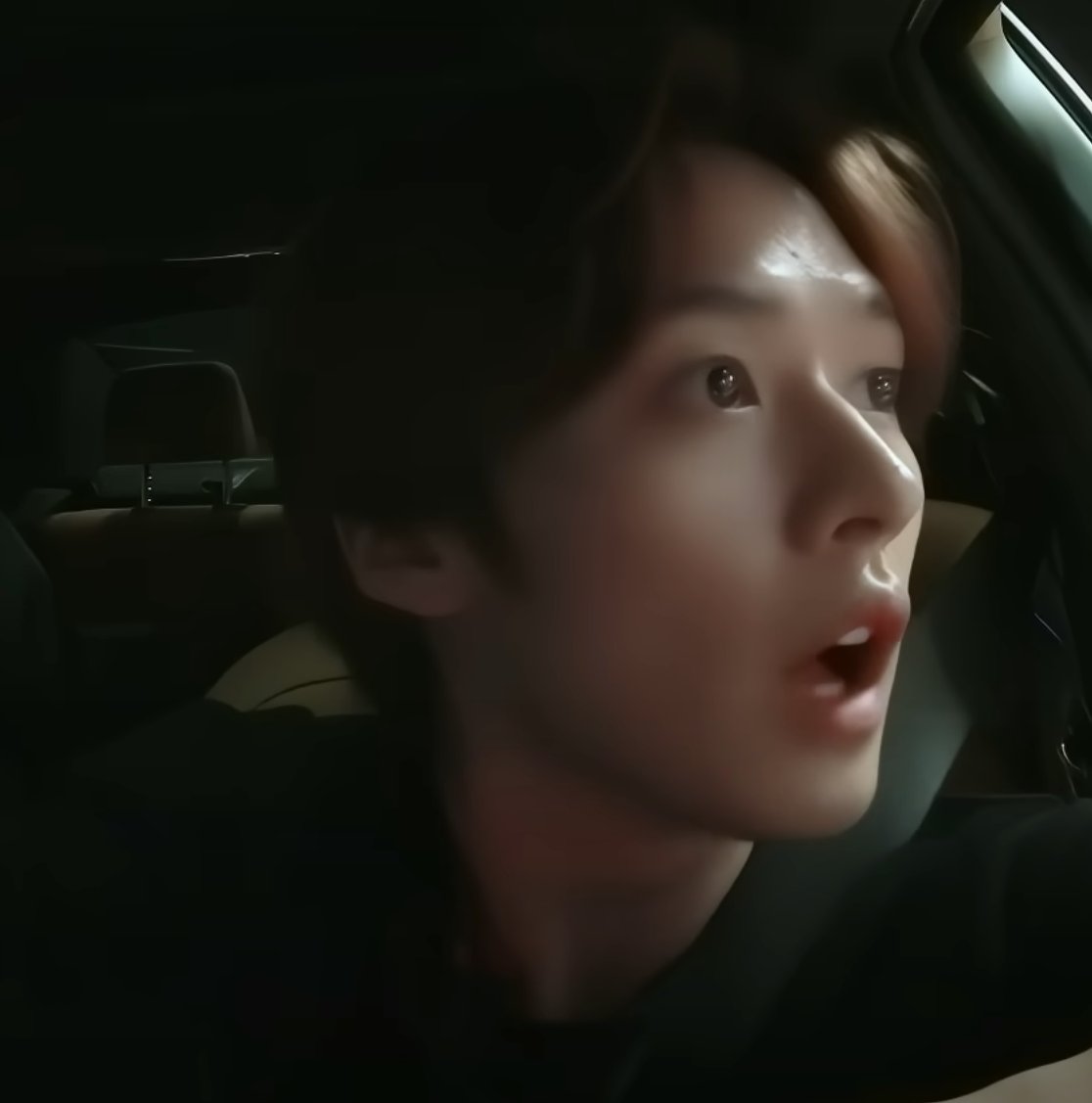 harribit0's tweet image. 운전하는 고양이 이거 진짜예요??