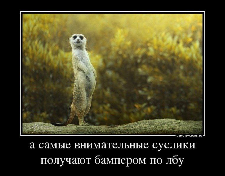 viktoshamurrr7's tweet image. Вам там в телеге Петька угрожает ☝️