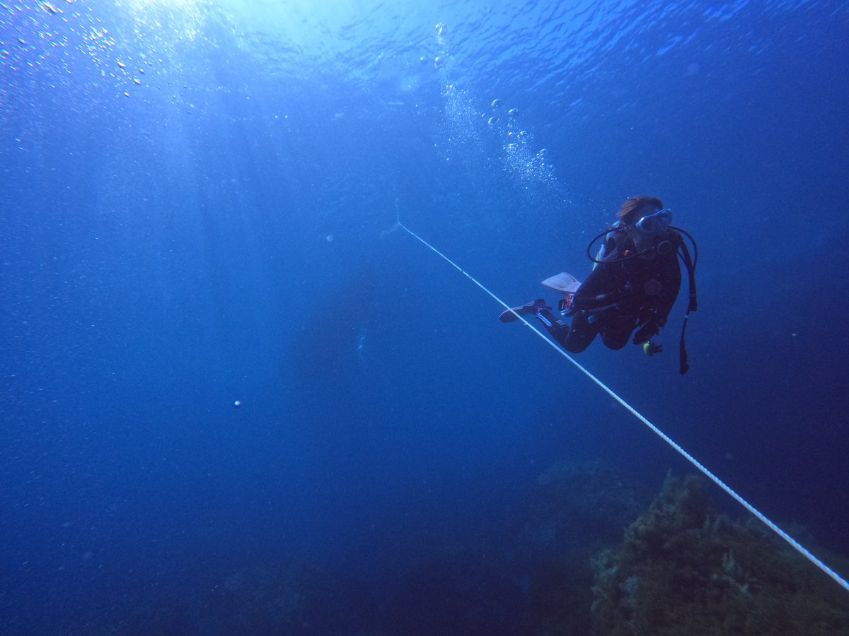 umizono's tweet image. 厳しい暑さが続いてます・・・が、その分海中は快適なのです。
今日はファン2ボートのち15時から体験ダイビング!
①高瀬 水温26.4度(水深18m)透視度15~18m
②すりばち 水温26.4度(水深16m)透視度18m
③羽尾旧突堤 水温29.0度(水深4m)透視度15m
明日もこの海況は続きそうです。 #岩美町