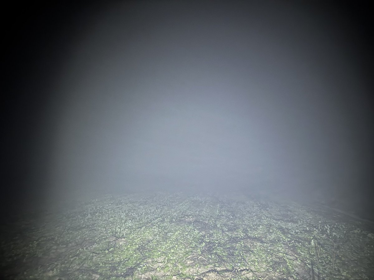 Hermoso para andar regando de noche , neblina a fines de julio en Salta , rarísimo