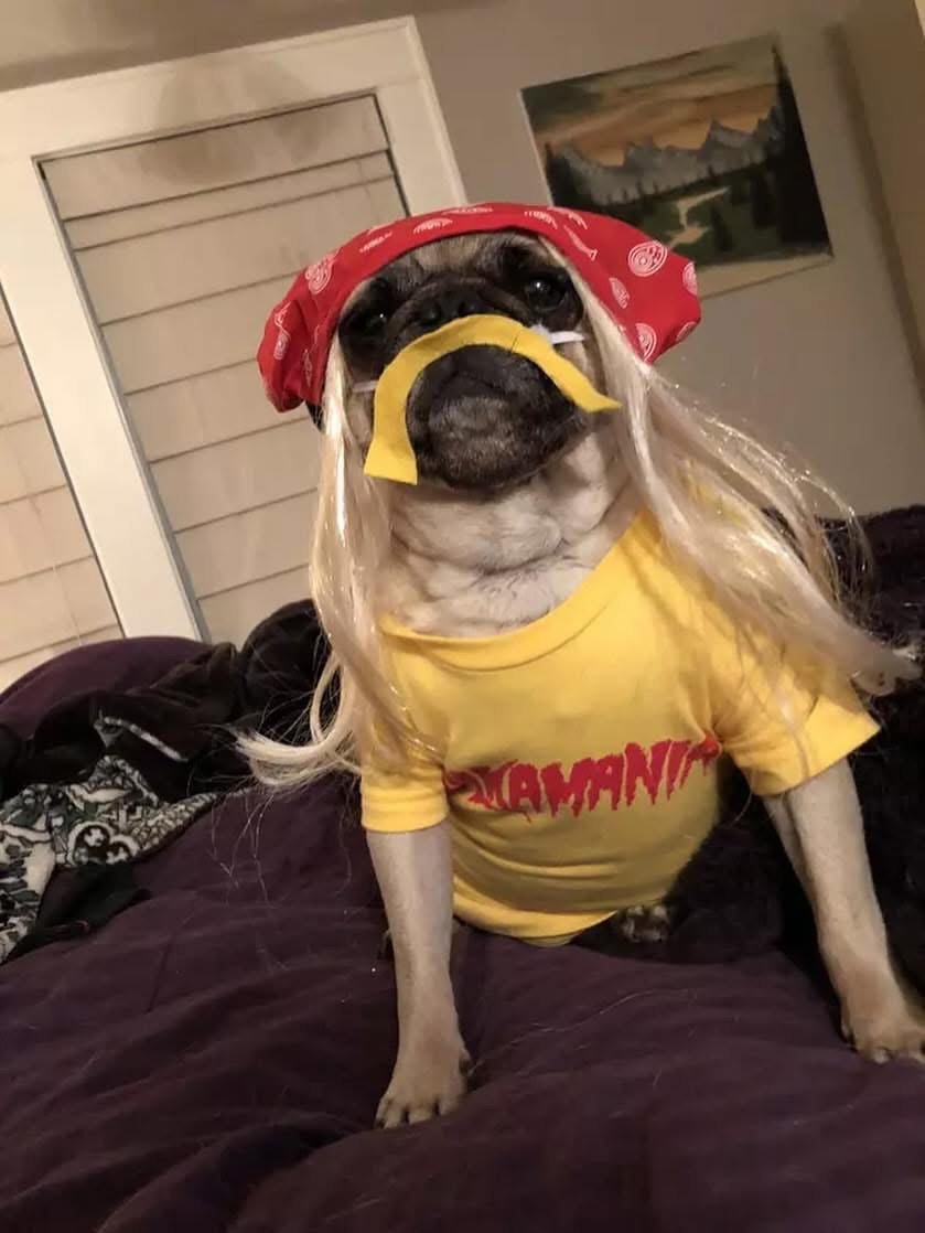 ♥️😪RIP Hulk Hogan ❤️😪

#hulkhogan #wwe #wwf #wrestling #wrestlemania