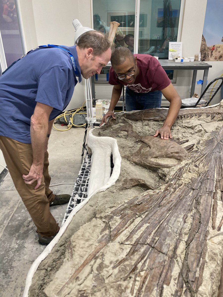 Evan Johnson-Ransom (@ejr_paleo_msc) on Twitter photo Got a chance to see the “Teen rex”, a new #Tyrannosaurus specimen, up close at the <a href="/DenverMuseumNS/">Denver Museum</a>. It is a breathtaking specimen, I might add. #FossilFriday #Dinosaurs #Paleontology Got a chance to see the “Teen rex”, a new #Tyrannosaurus specimen, up close at the <a href="/DenverMuseumNS/">Denver Museum</a>. It is a breathtaking specimen, I might add. #FossilFriday #Dinosaurs #Paleontology