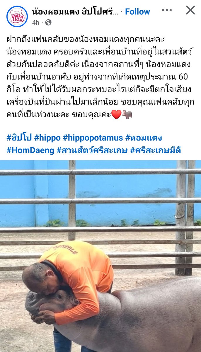เจ๊แต๋ว tweet media