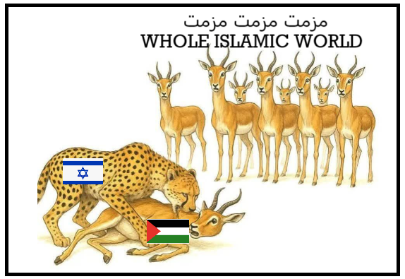 PHAPHA1's tweet image. #shpageeza #War2Trailer #Palestine #islamicworld
