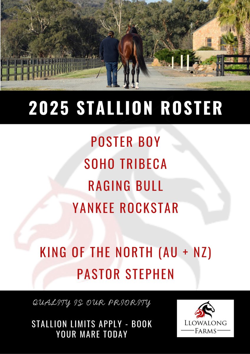 Northern Rivers Equine & Llowalong Farms tweet media