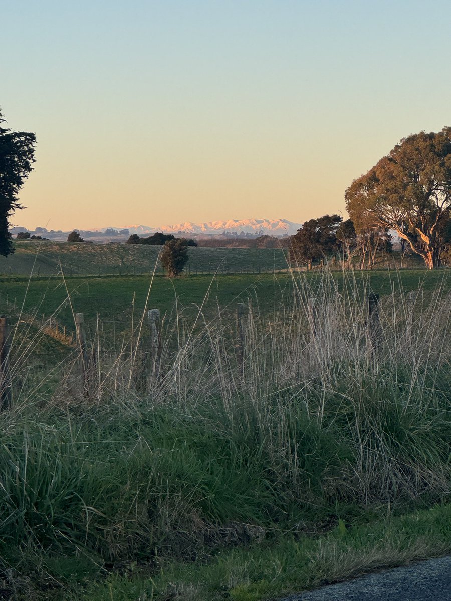 HdizzyDizzle's tweet image. Doing the exercise I tried to do since lunch time. Golden hour for the views (it’s fucking cold)