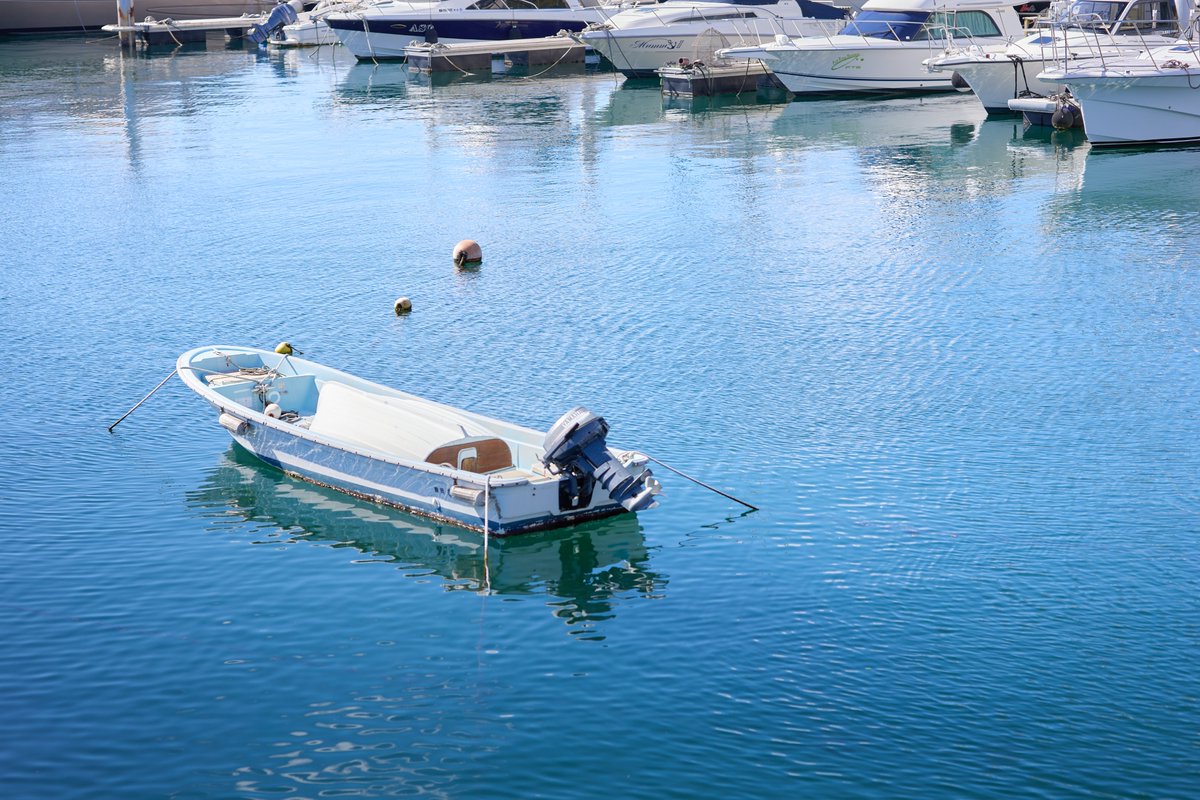 #べこphoto
#初島オフ0720