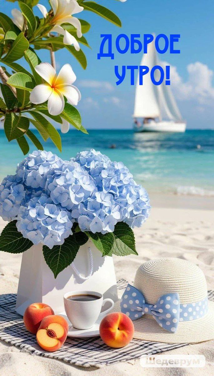 ludmilaima's tweet image. Доброе утро!