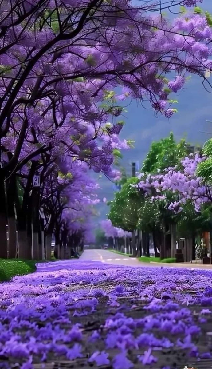 والحول والقوة كلها لله وإنا دون معونته عدم🪻🫟