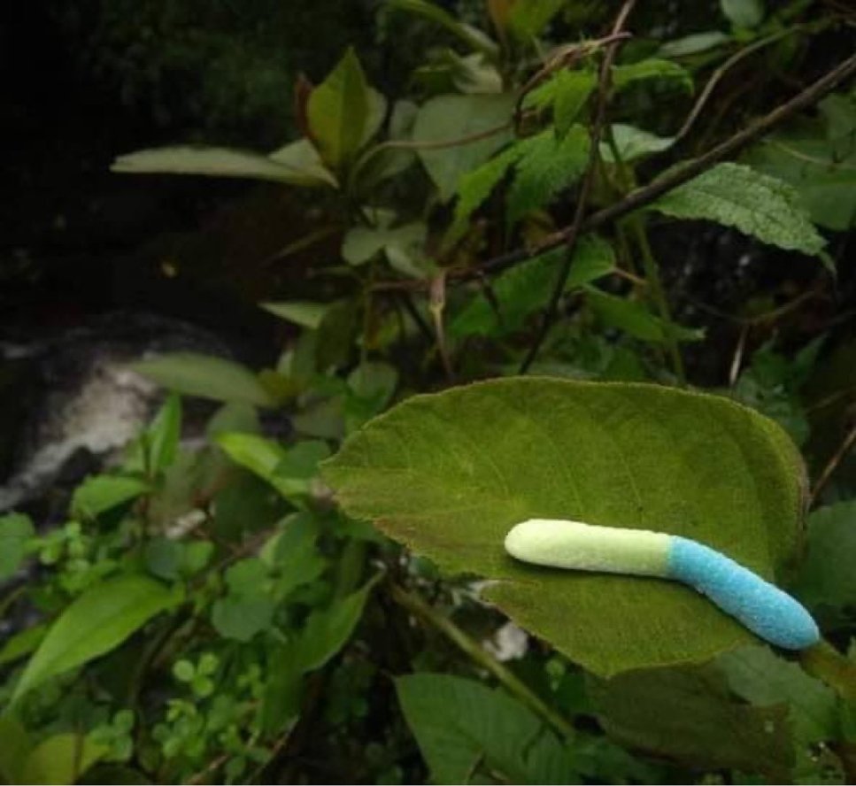 Shitpost 2077 (@shitpost_2077) on Twitter photo 