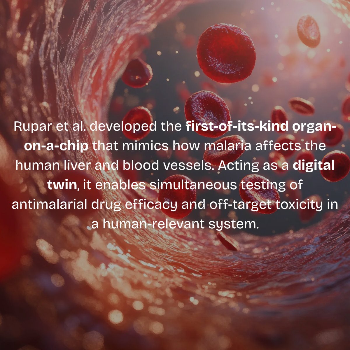 Centre for Predictive Human Model Systems (@cphms_aic) on Twitter photo #MPSinNews | A first-of-its-kind organ-on-a-chip mimicking malaria's effect on the human body developed by <a href="/HesperosInc/">Hesperos, Inc.</a>
Liver, spleen & vessel tissues simulate real infection.
Tested drugs like chloroquine for efficacy & safety—no animals used.A leap toward human digital twins! #MPSinNews | A first-of-its-kind organ-on-a-chip mimicking malaria's effect on the human body developed by <a href="/HesperosInc/">Hesperos, Inc.</a>
Liver, spleen & vessel tissues simulate real infection.
Tested drugs like chloroquine for efficacy & safety—no animals used.A leap toward human digital twins!