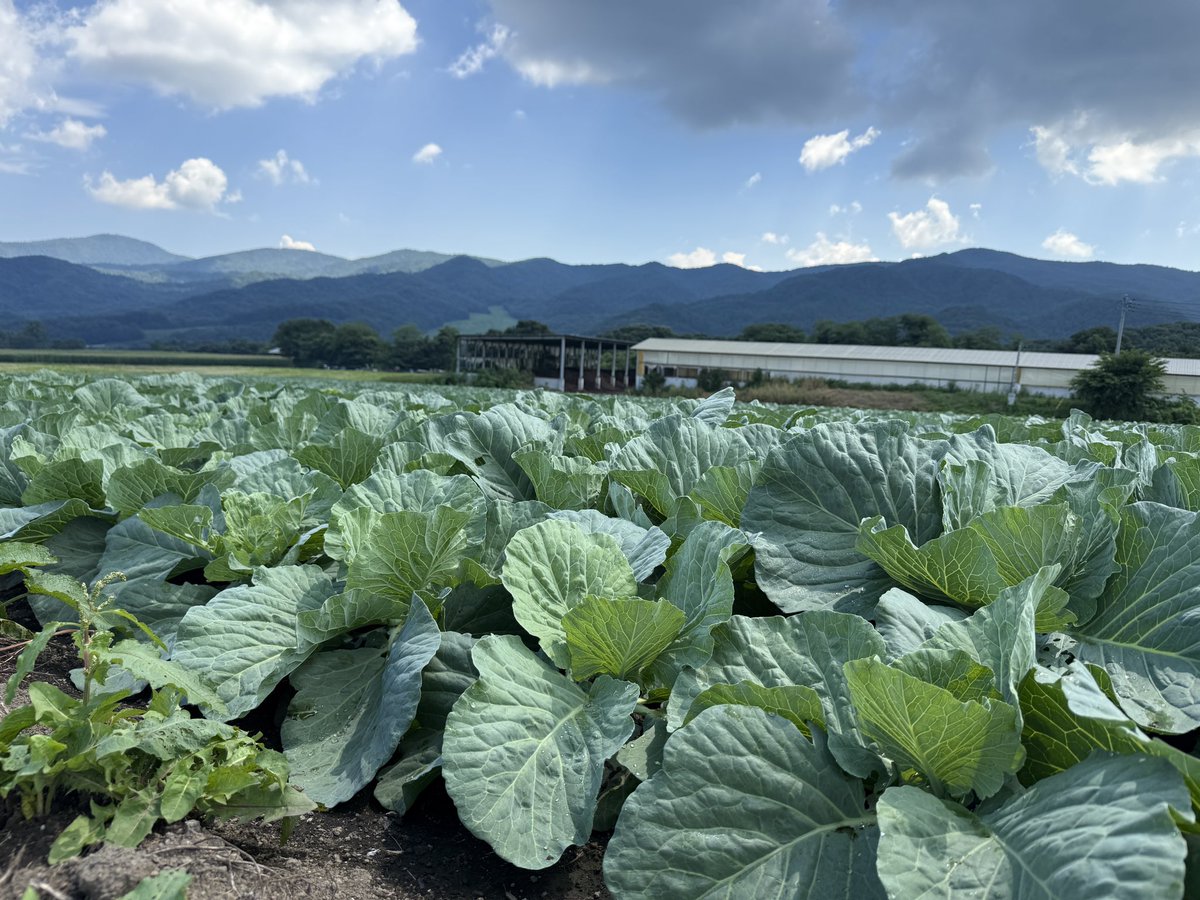 maebashigoeson's tweet image. 今日は先日、訳あって撮れなかった太陽光パネルリサイクル処理の再撮で長野原町北軽井沢へ。
ここのところ遠出ばかりで大変。
帰りに中之条のおてのくぼで昼飯 
#tvprogram #eng #中之条 #おてのくぼ #lunch #映像のお仕事