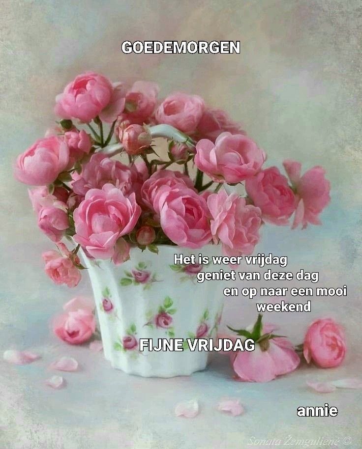 Goedemorgen iedereen