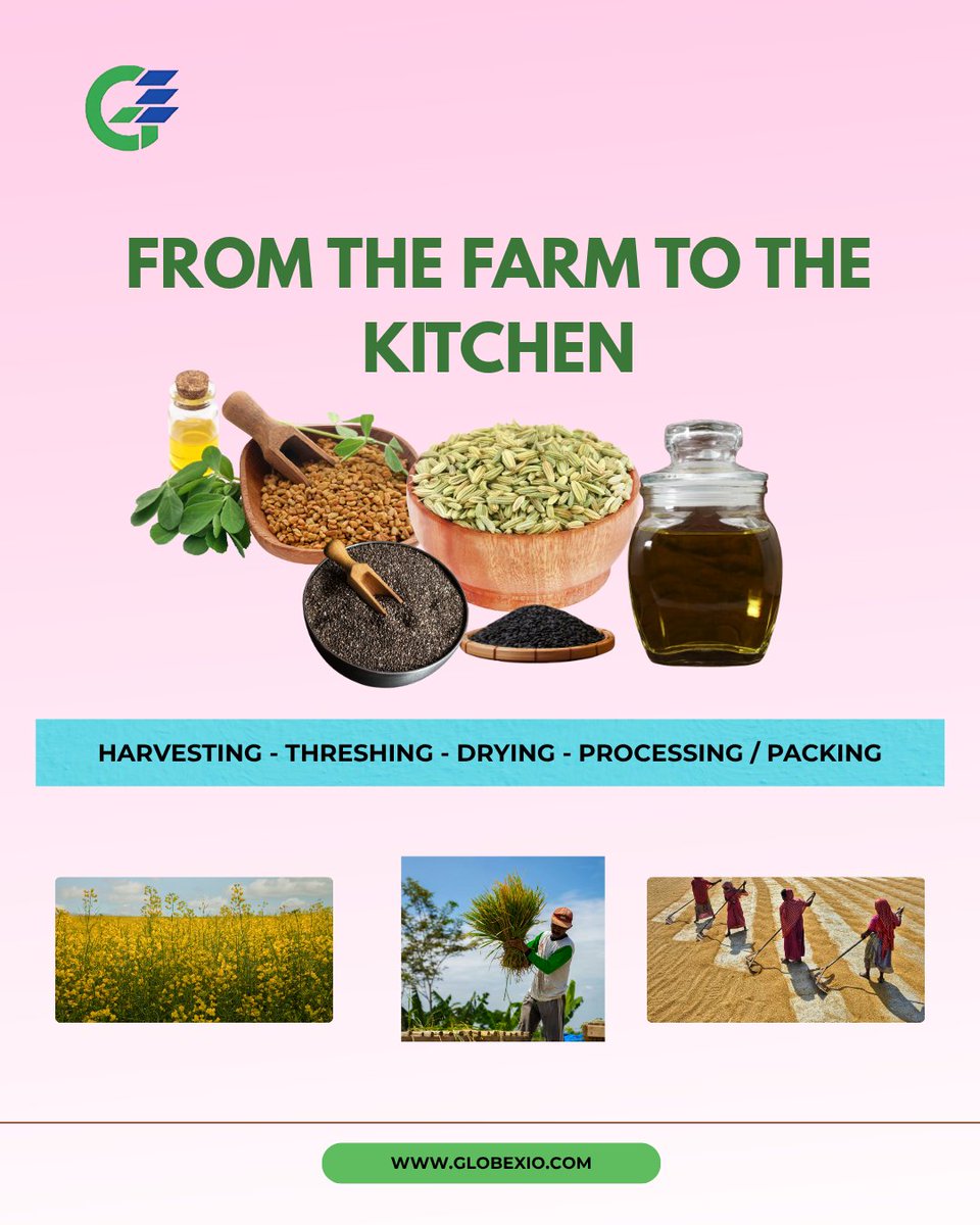 globexiollp's tweet image. From 🌾 farm to 🏠 kitchen – Globexio brings you the purity of Indian harvests in every grain!
🌱 Harvested ➡️ Threshed ➡️ Dried ➡️ Packed with care.
Visit: globexio.com
#FarmToKitchen #Globexio #AgroExports #IndianFarming #OrganicExport