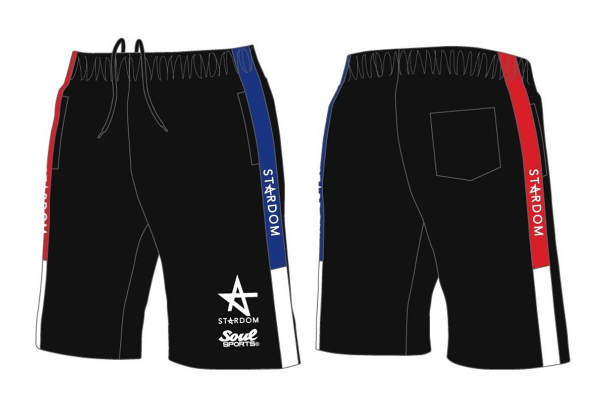 ✨新商品✨ STARDOMファンの皆様お待たせいたしました❣️ ・ドライT