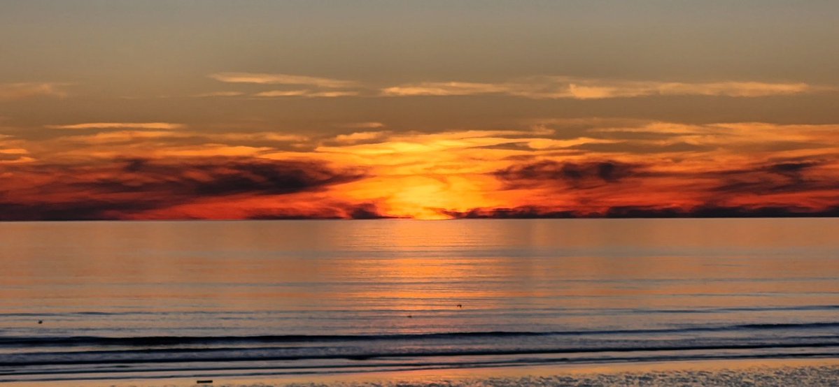 AstroPuss's tweet image. Just breathtaking sunsets this week.....
##TeWhārangi