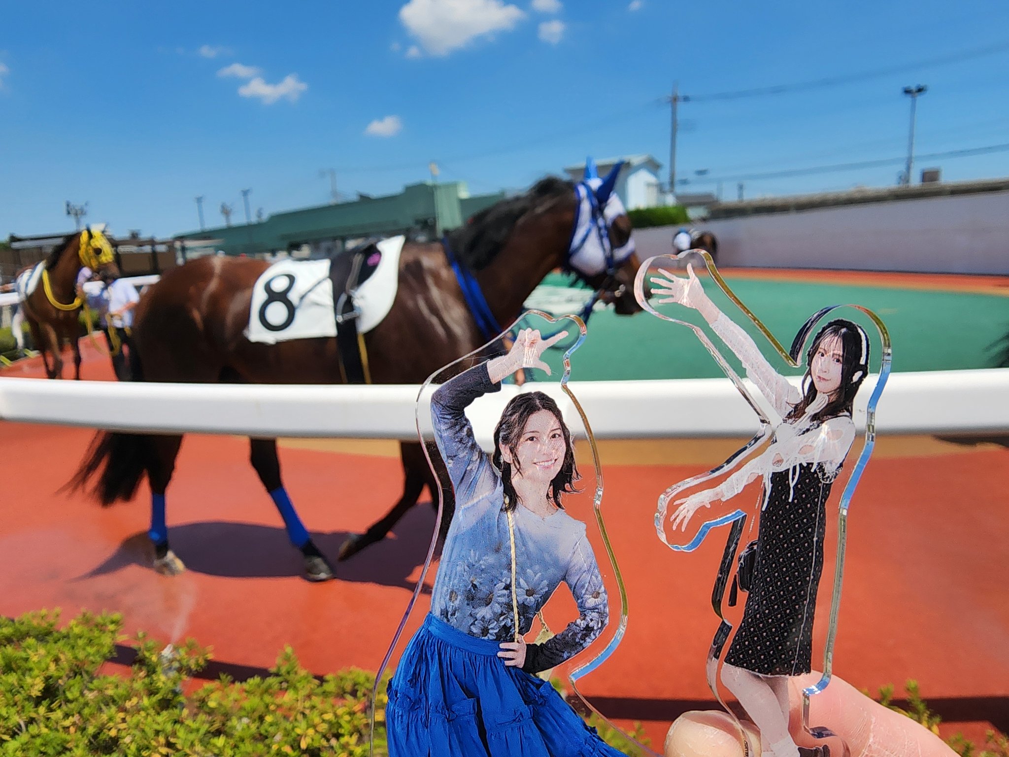 馬券単勝 ポルトフィーノ 新馬戦 超簡易ver】2024/8/24 新馬戦予想【新馬戦ブログ】 - 『新馬戦